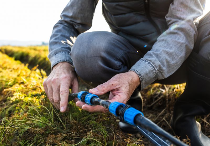 Sprinkler Installation