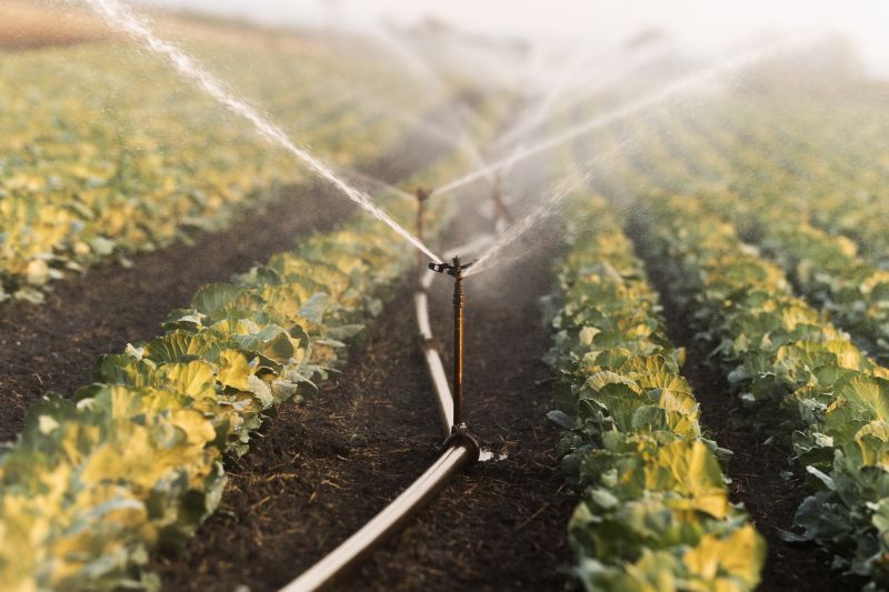 Crop Irrigation Installation in Honolulu, HI