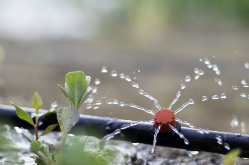 Drip Irrigation Installation detail