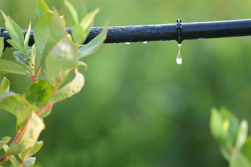 Drip Irrigation Installation detail