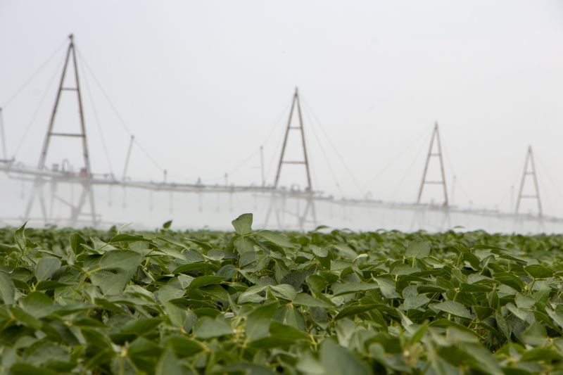 Irrigation System Installation detail