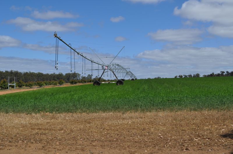 Irrigation System Installation detail