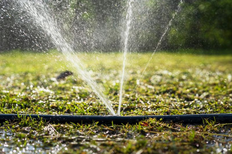 Lawn Sprinkler Replacement in Honolulu, HI