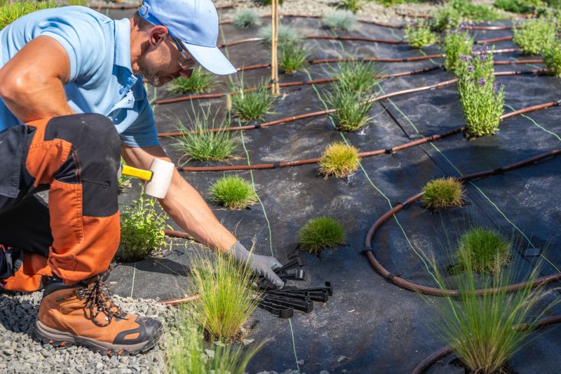 Promotes healthier, greener lawns